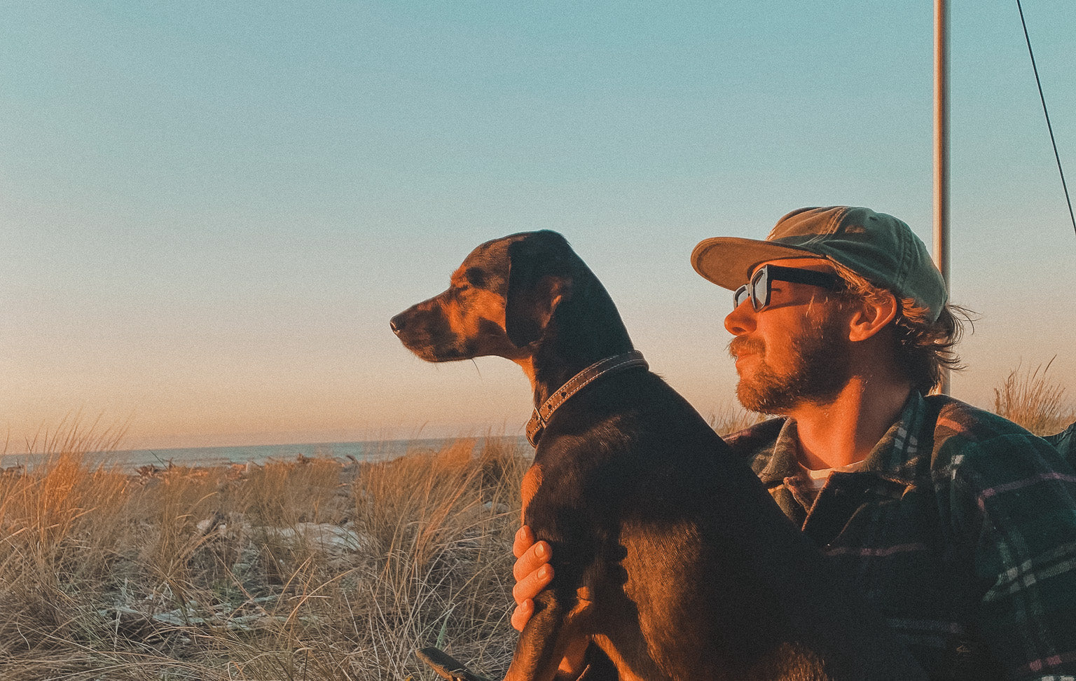 Outdoor landscape setting with sunset on beacj and happy dog